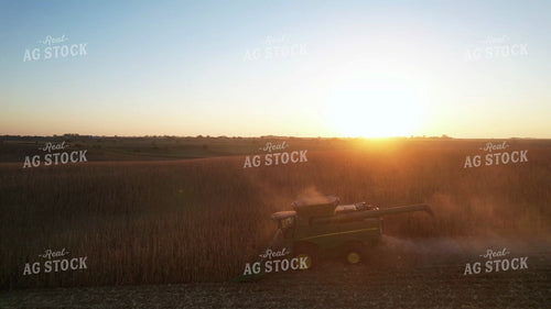 Soybean Harvest 65499