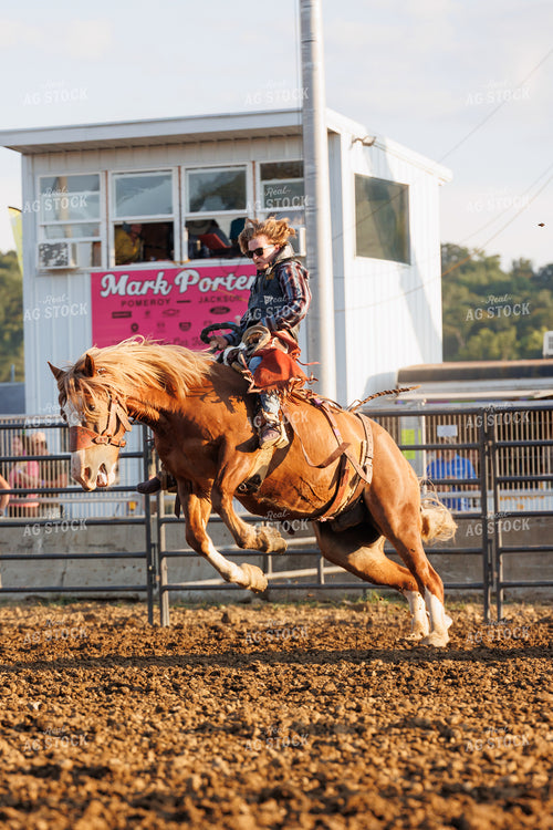Rodeo 295141