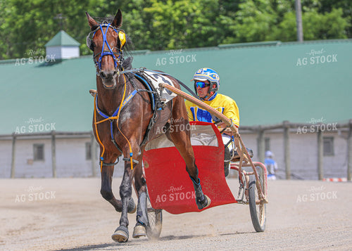 Horse Racing 160061