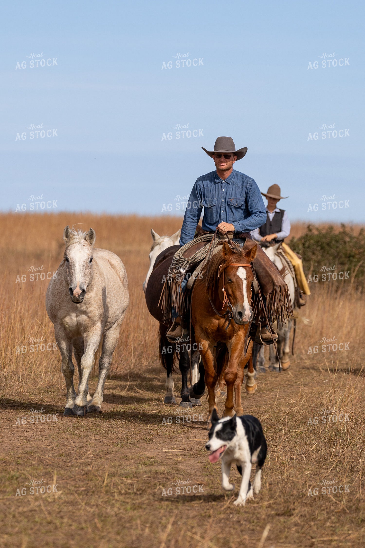 Rancher on Horseback 71020