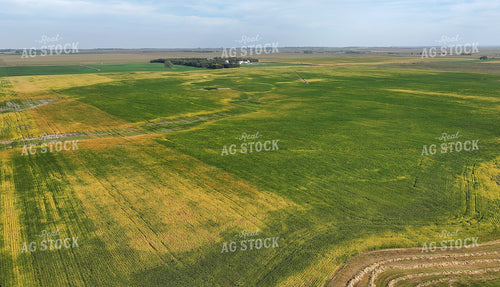 Aerial of Farmland 141406