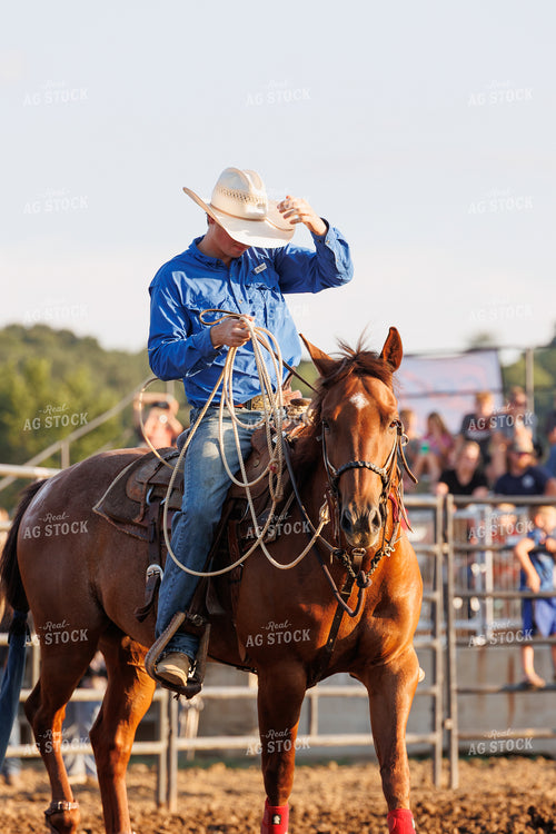 Rodeo 295143