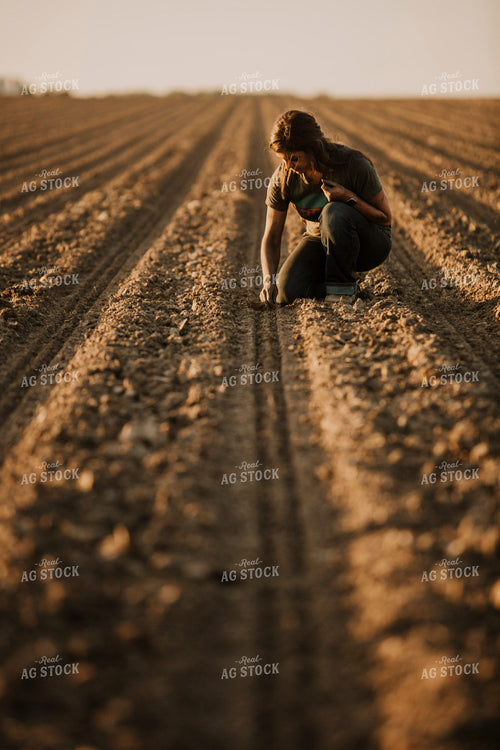 Planting 2835
