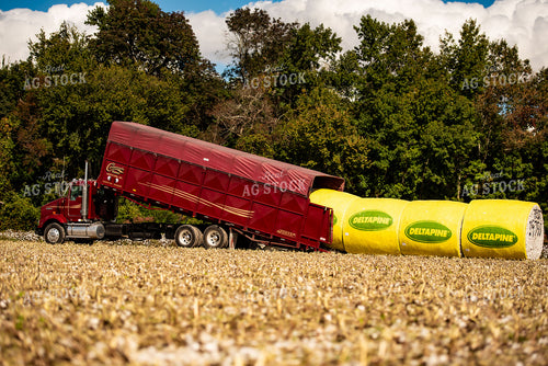 Loading Cotton Modules 136149
