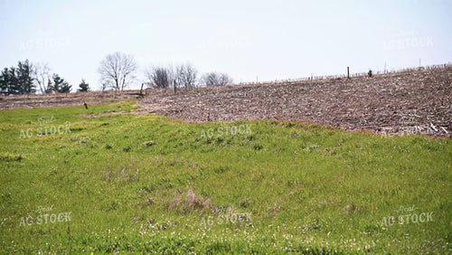 Planting on Hilly Ground - 344