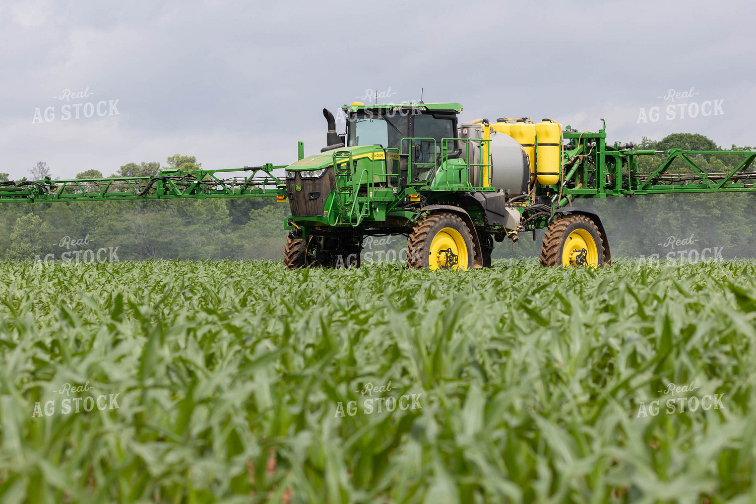 Spraying 79654