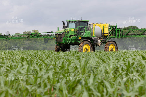 Spraying 79654