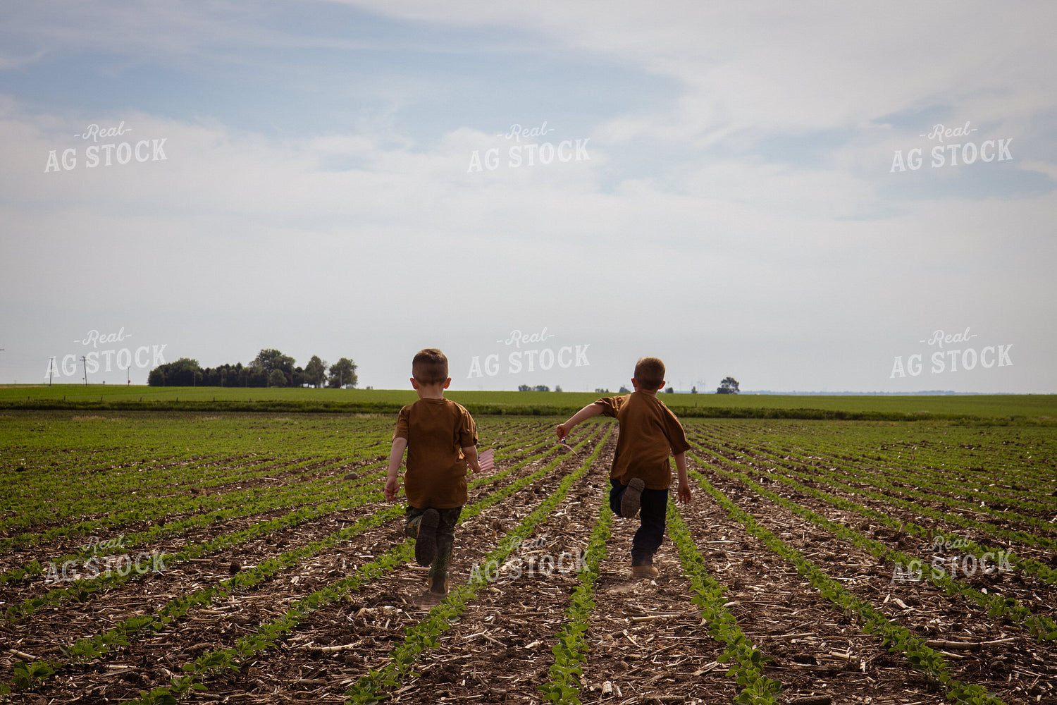 Farm Kids Running in Field 268298