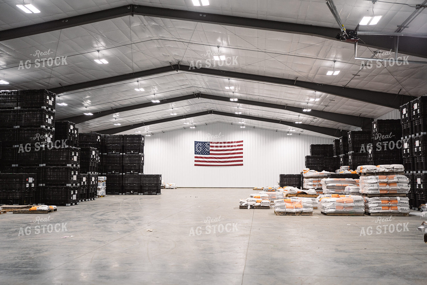 Seed Shed 196006