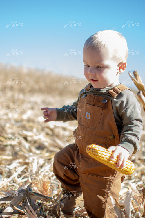 Farm Kid in Corn Field 50512