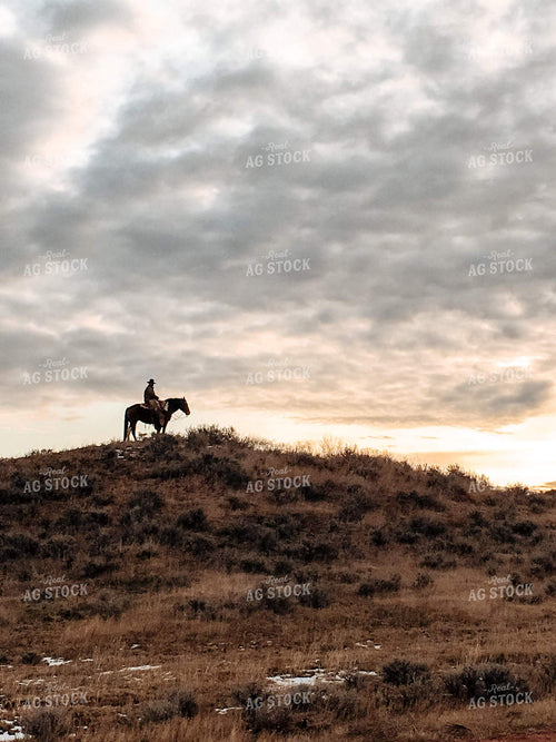 Rancher on Horseback at Sunset 63011