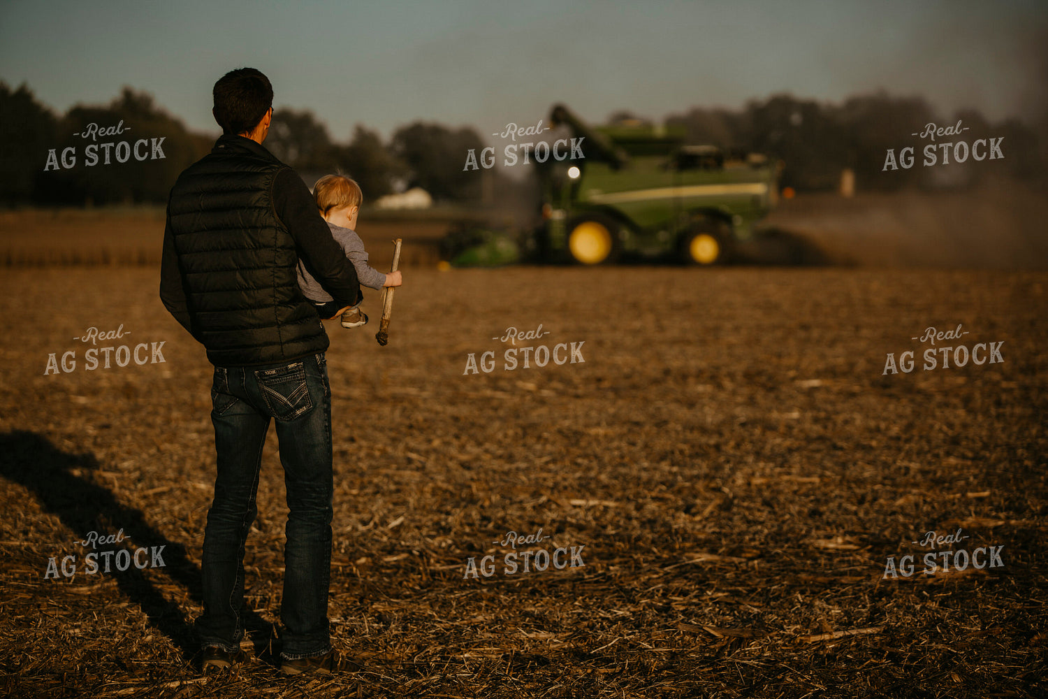 Harvest 2569