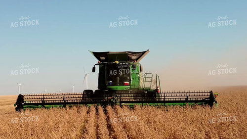 Soybean Harvest 287008