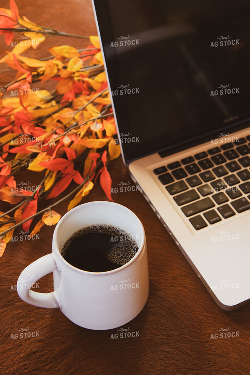 Office Stock 67875