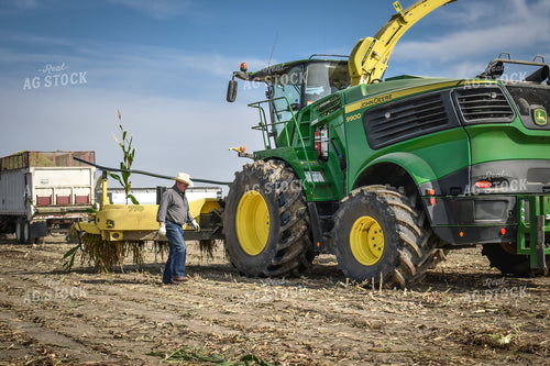 Farmer During Silage Harvest 56233