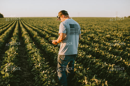 Farmer in Soybean Field with Tablet 6135