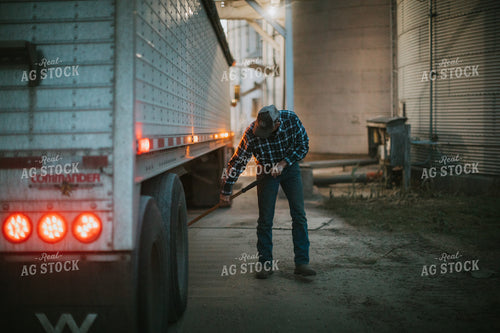 Farmer Unloading Soybeans From Semi Trailer 5149