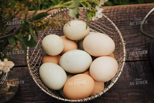 Eggs 178049