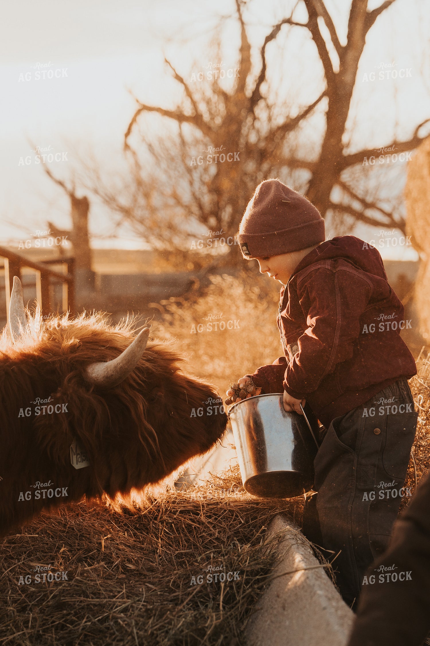 Ranch Kid Doing Chores 61230