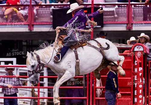 Saddle Bronc Riding 177023
