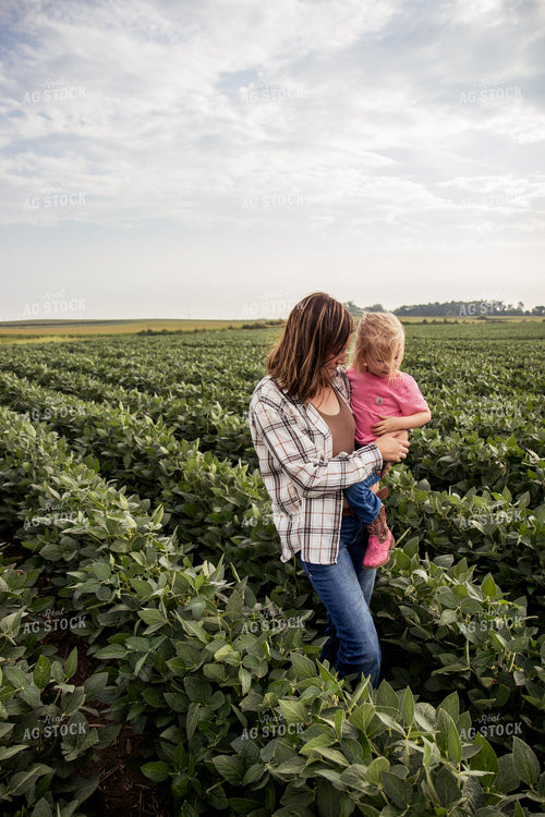 Farm Family Yield Checking Soybeans 67367