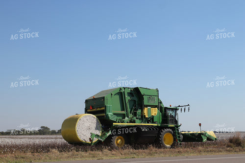 Cotton Harvest 102219