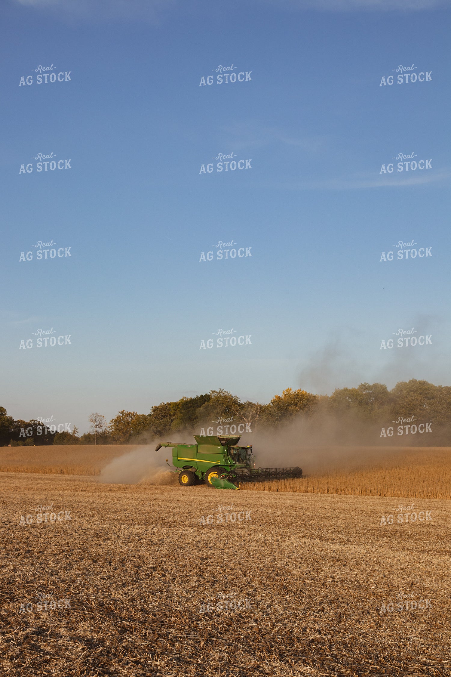 Soybean Harvest 67280