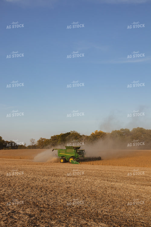 Soybean Harvest 67280