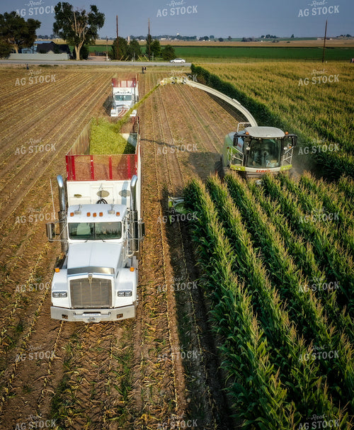 Silage Harvest Drone 56199