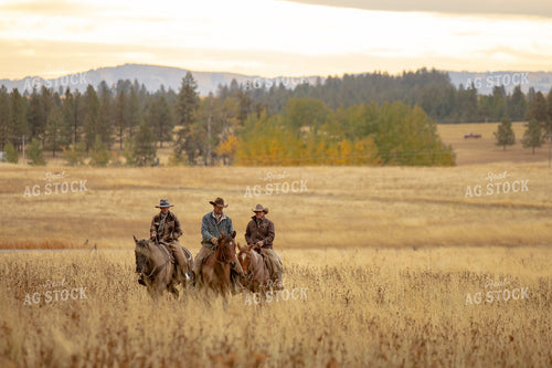 Ranchers on Horseback 188122