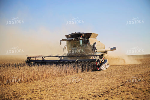 Soybean Harvest 93074