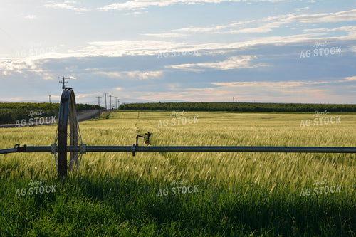Irrigation Wheel Line 198006