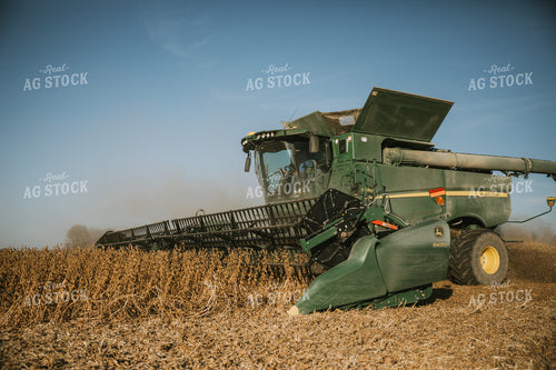 Soybean Harvest 7189