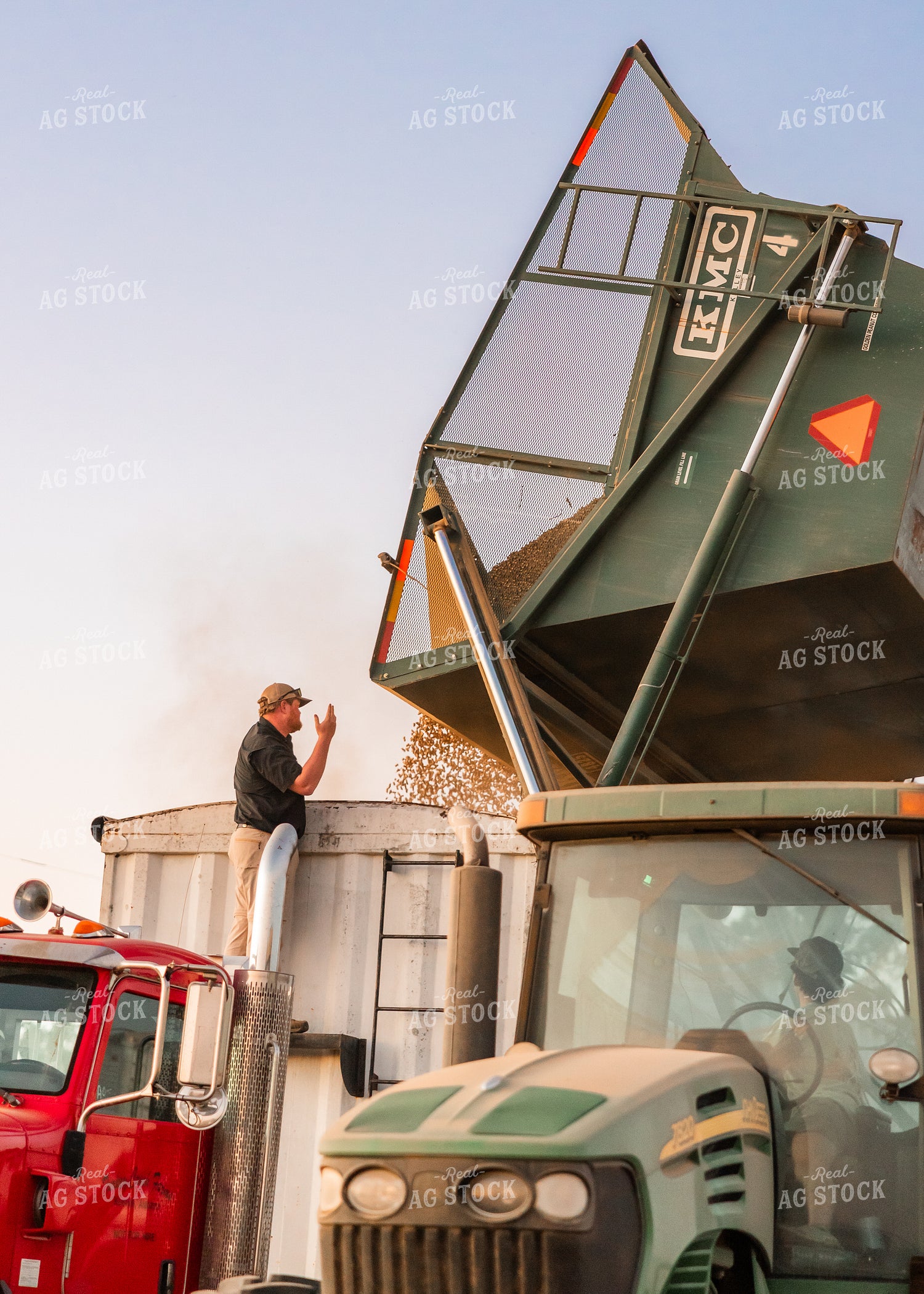 Peanut Harvest 256013