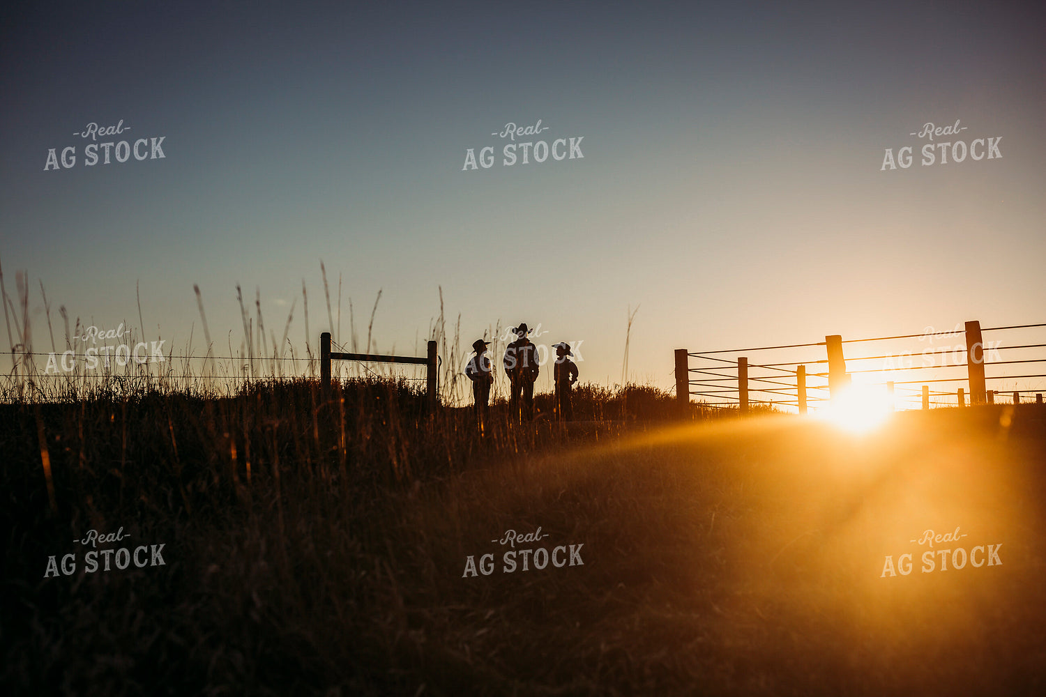Ranch Family Checking Cattle 285047