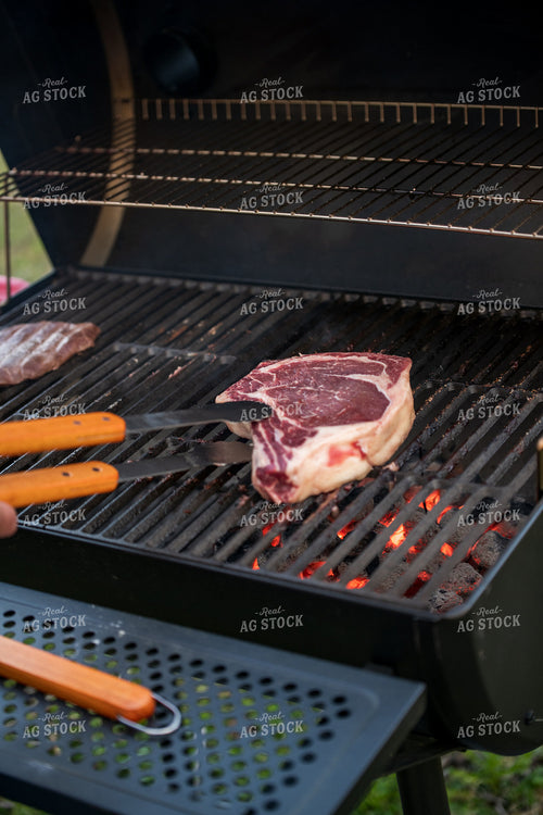 Meat on the Grill 76633