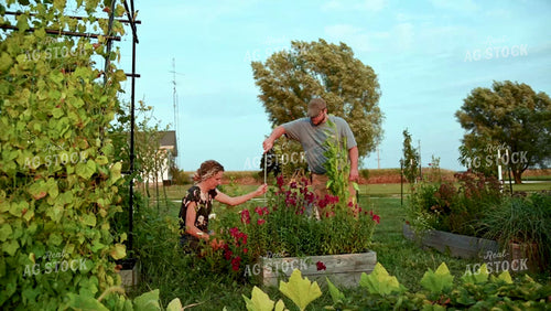 Farm Family in the Garden - 399