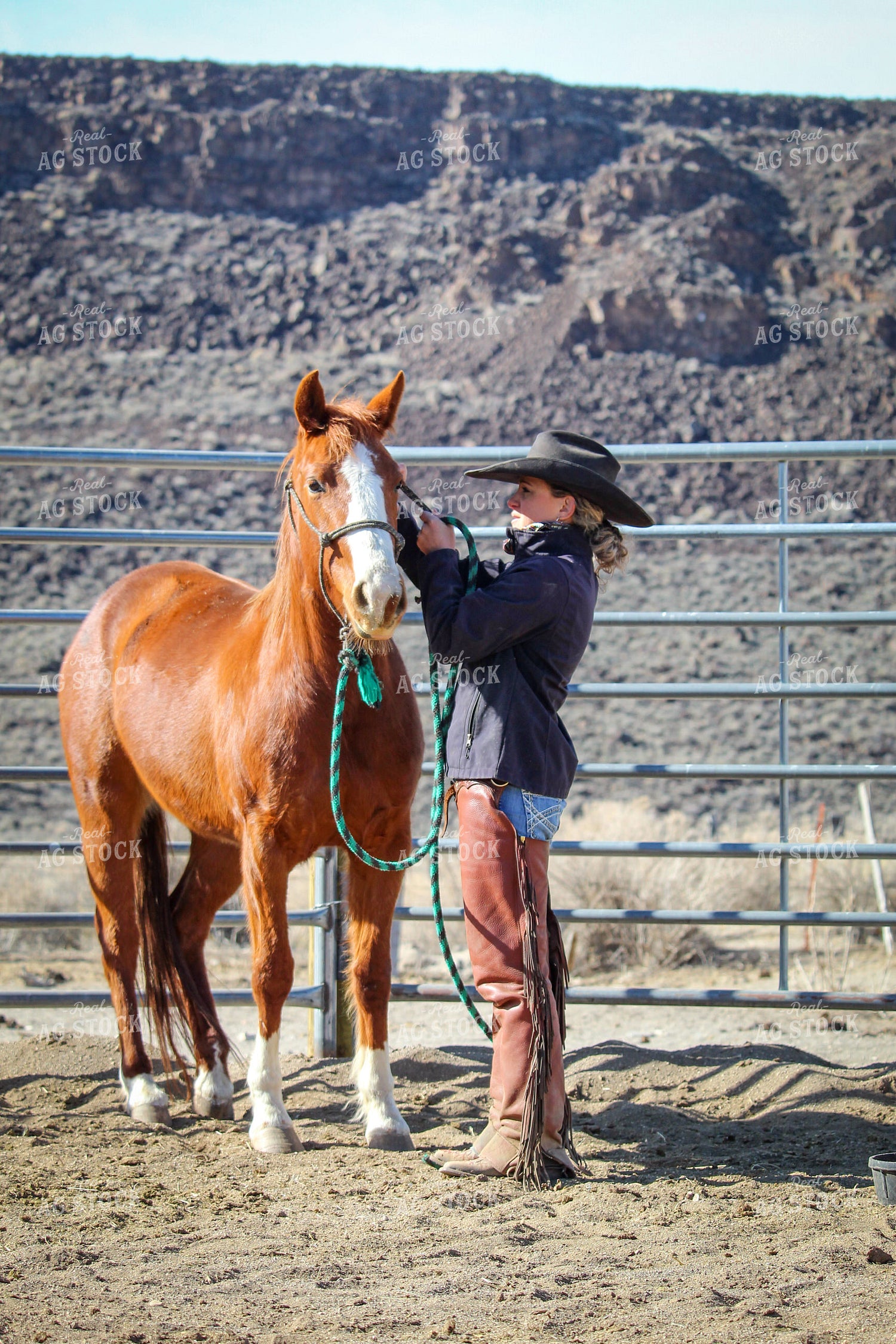 Female Rancher and Horse 78027