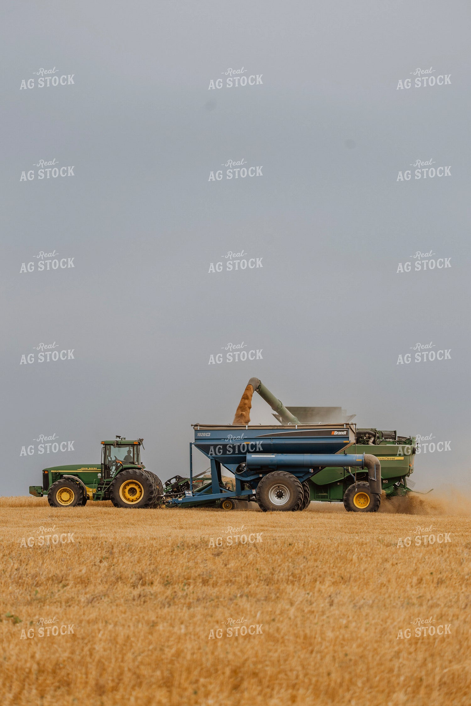 Wheat Harvest 187199