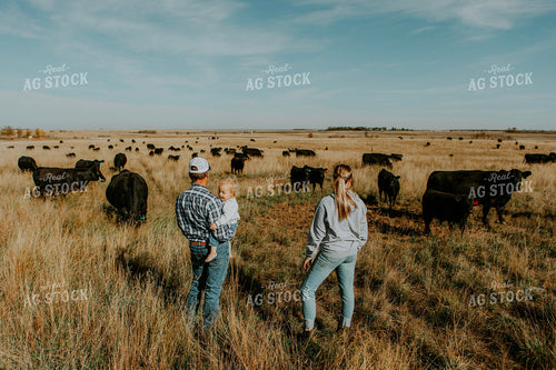 Ranch Family Checks Cows 187085