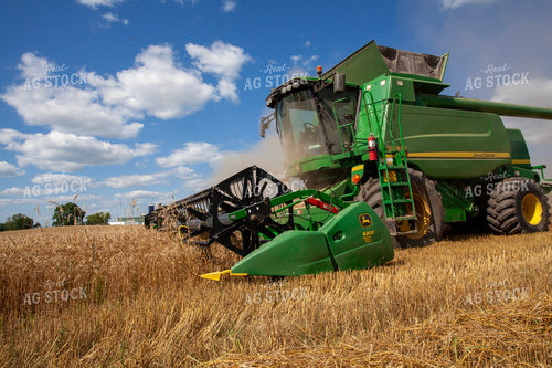 Wheat Harvest 132119