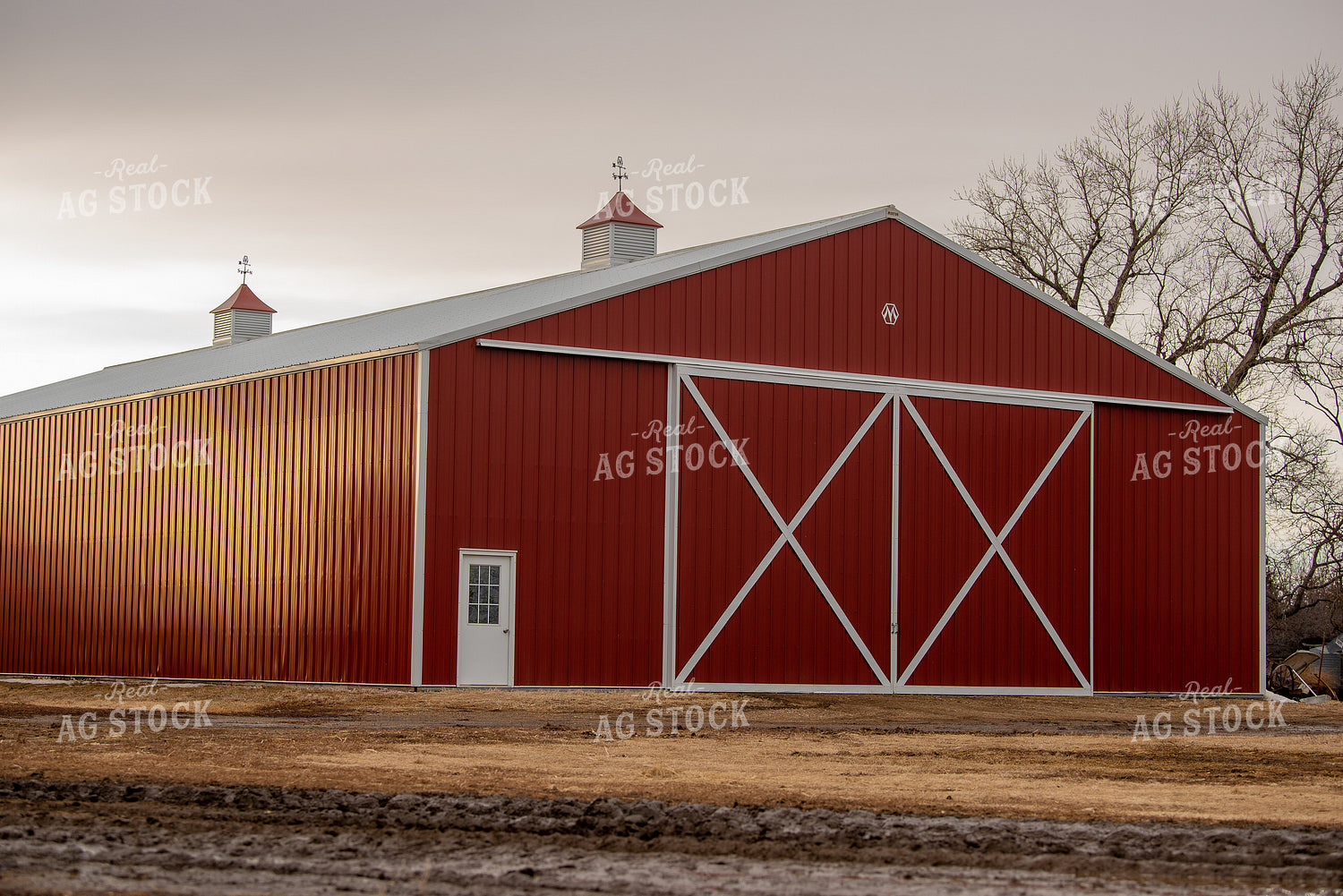 Red Machine Shed 299047