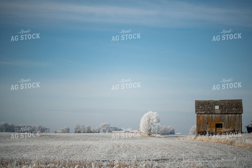 Snow Covered Rural Landscape 76269