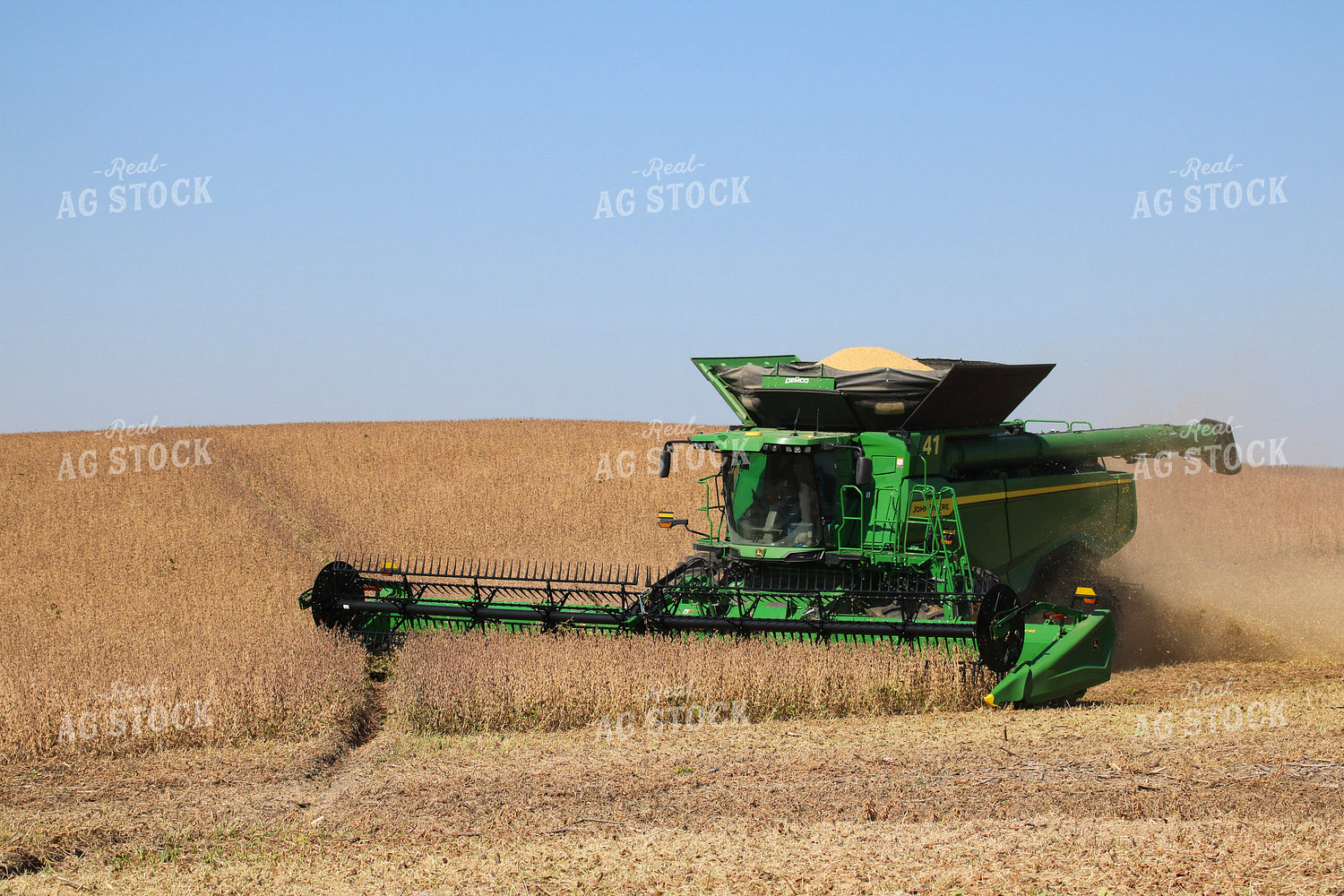 Soybean Harvest 82348