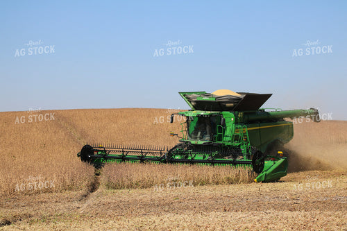 Soybean Harvest 82348