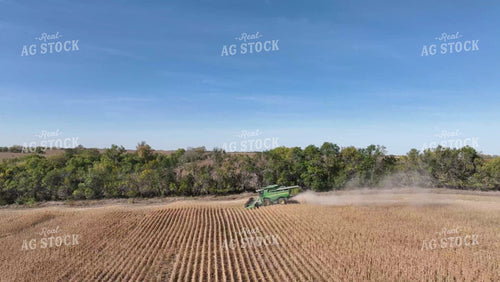Soybean Harvest 236002