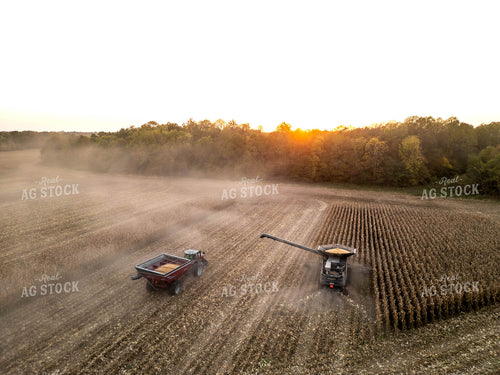 Aerial of Corn Harvest 115566
