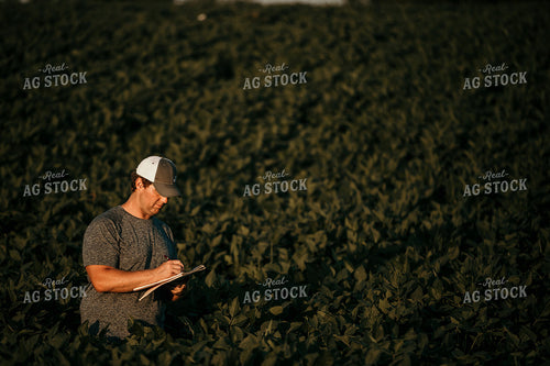 Farmer in Soybean Field with Notebook 3177