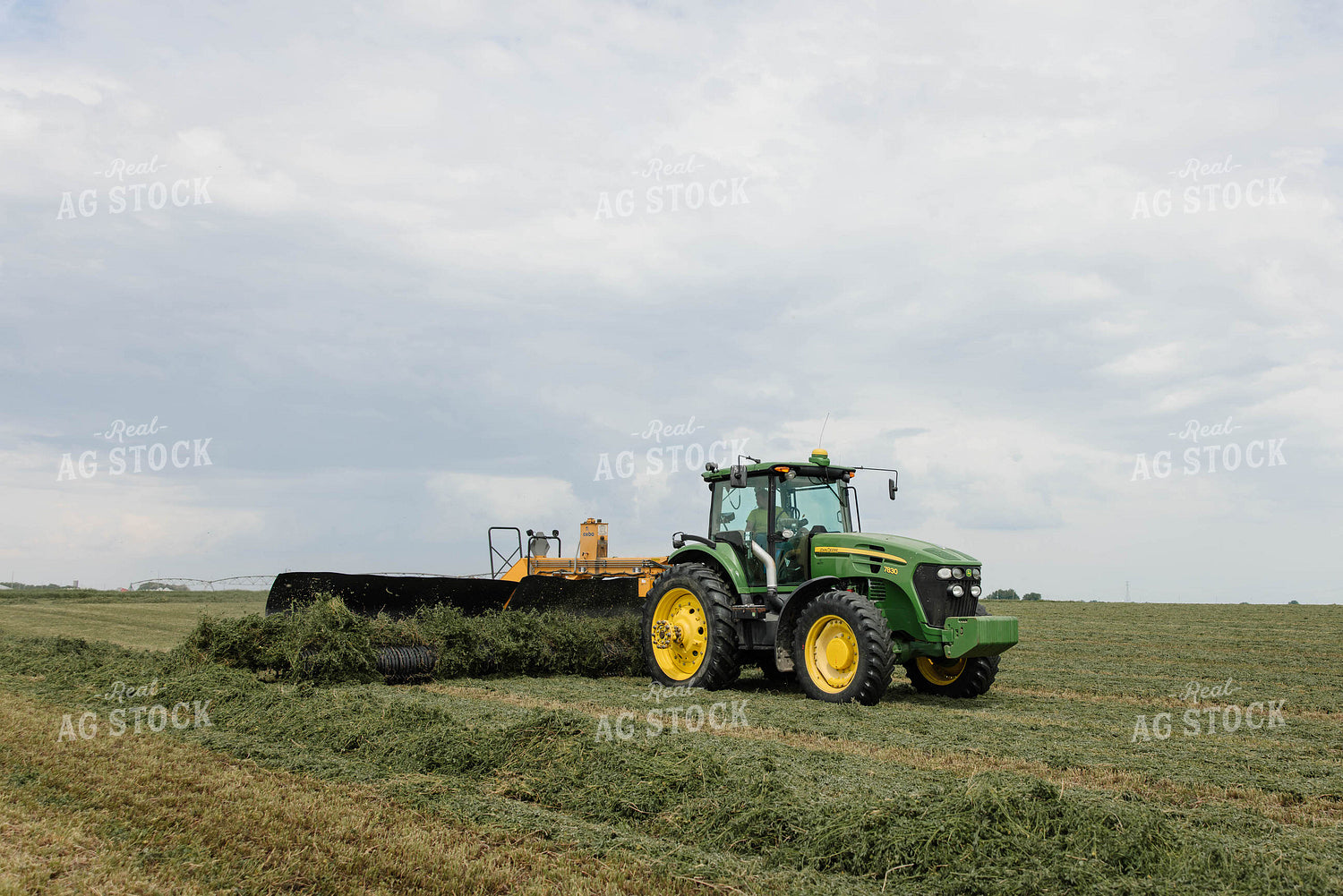 Merging Hay 152788