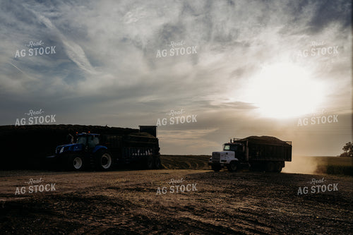 Unloading Harvested Silage 196367